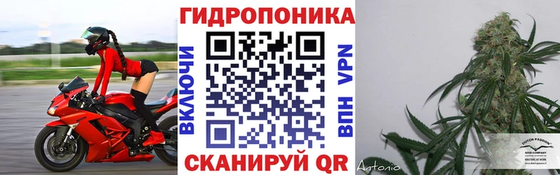 Где найти наркотики Пермь АМФ  Псилоцибиновые грибы  ГАШИШ  МЕФ  Марихуана  Кокаин 